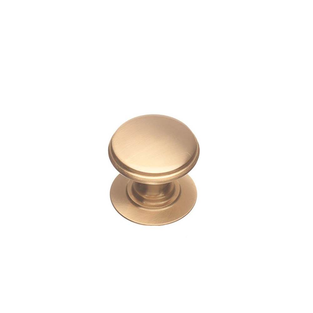 Colonial Bronze T Cabinet Knob Hand Finished in French Gold