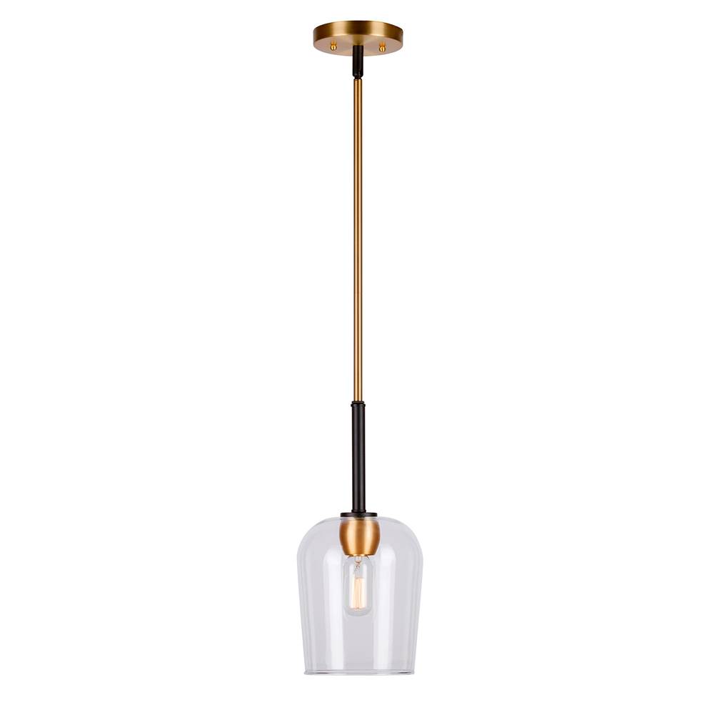 Forte Lighting Palmer 1-Light Black and Soft Gold Mini Pendant with Clear Glass
