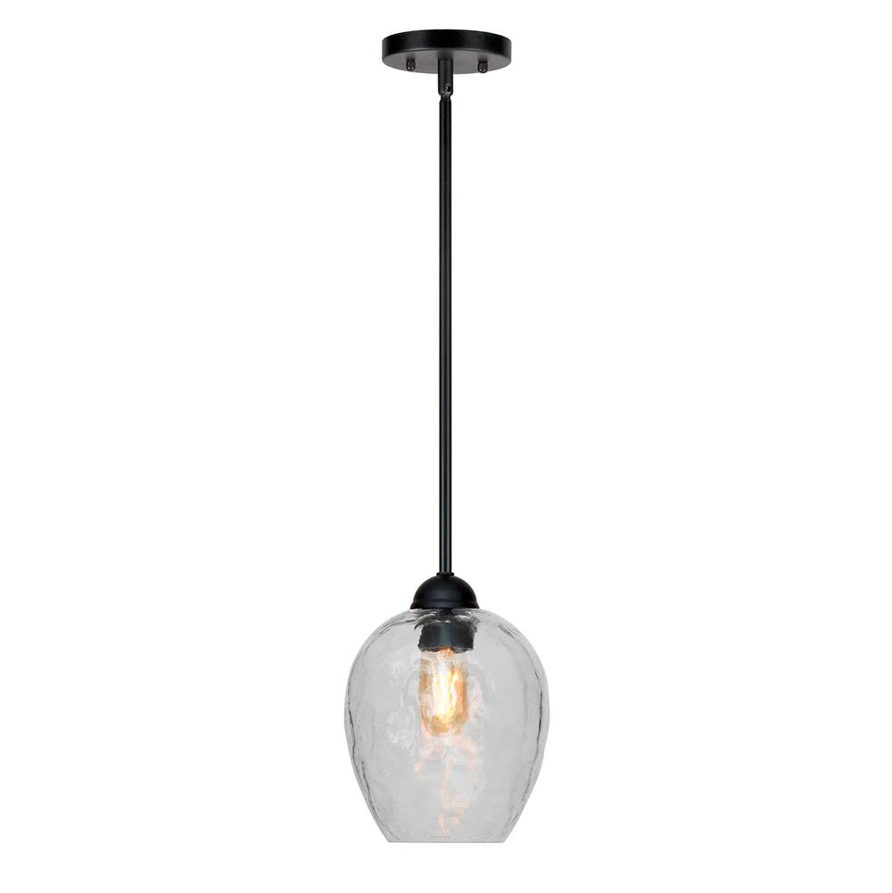 Forte Lighting Olivia 1-Light Black Pendant with Clear Hammered Glass Shade